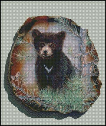 (image for) Black Bear